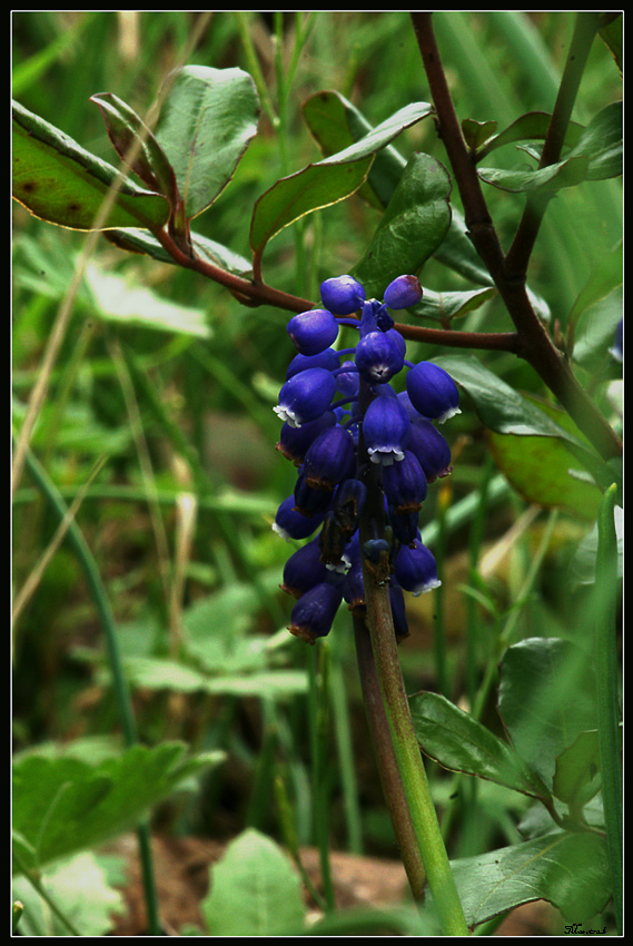 Guardare e NON T O C C A R E !!!!!!!