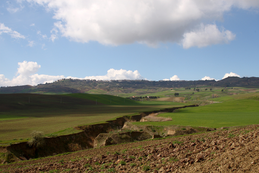 Irsina (Mt) Grand Canyon