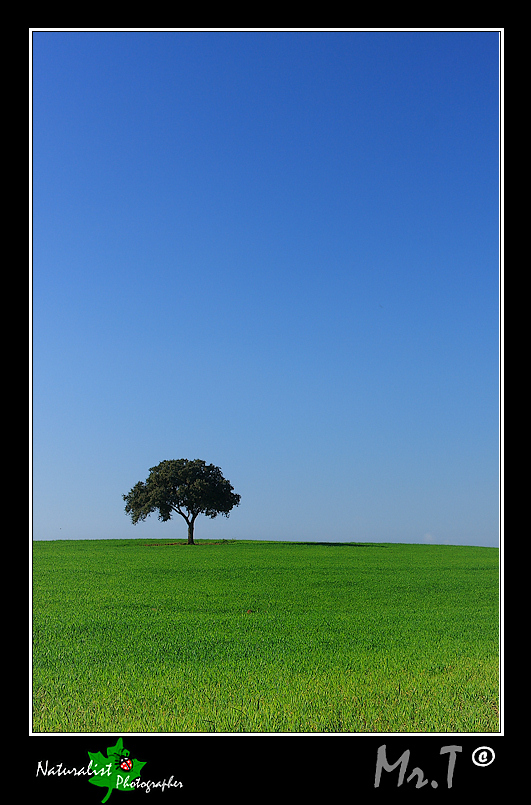 paesaggio semplice semplice