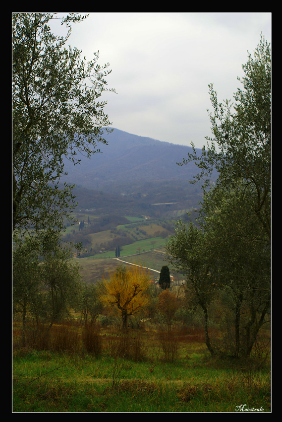 Un Arrivederci..all'Inverno..