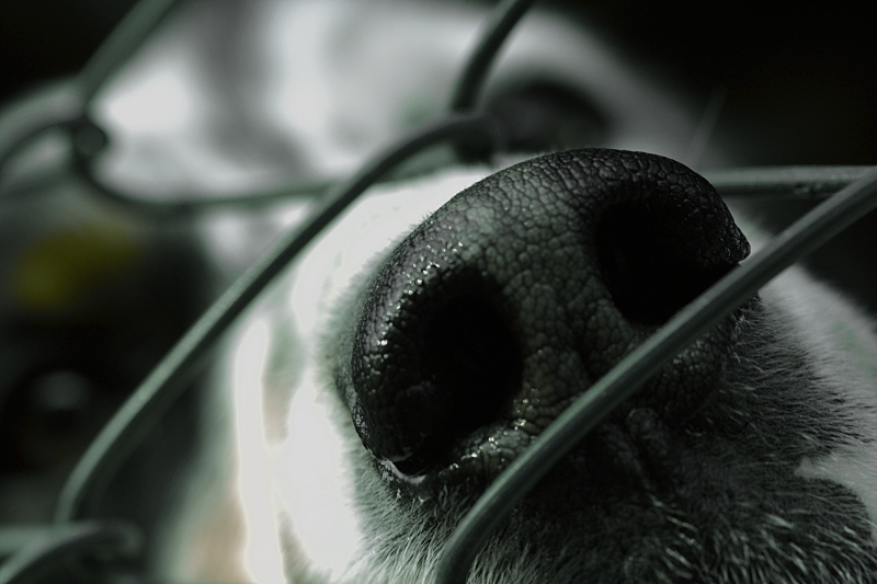 in prigione, in prigione