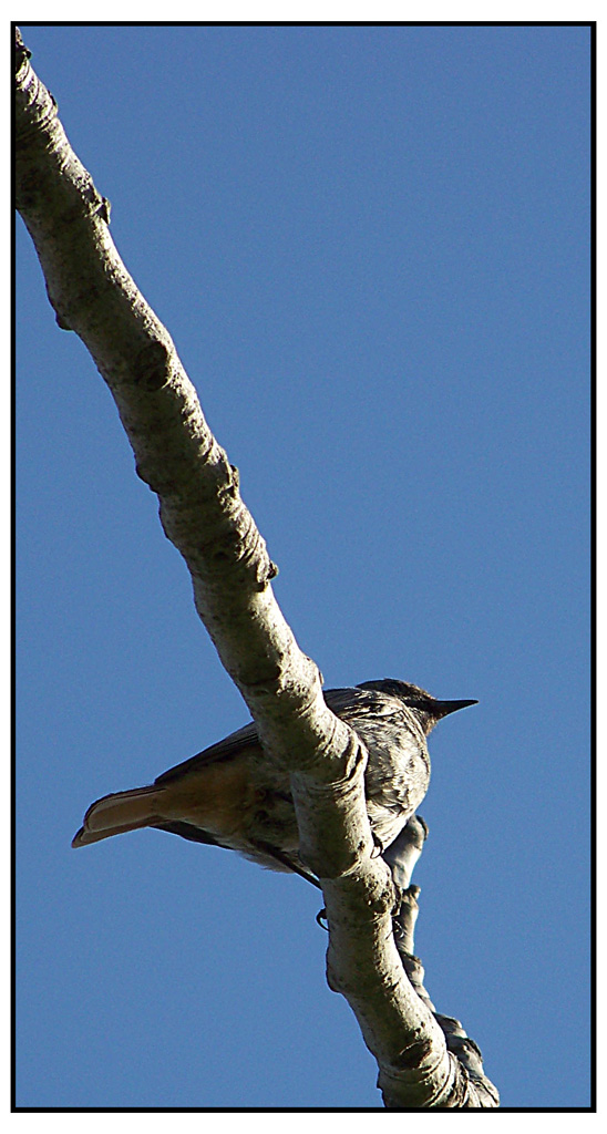 Mi fermo, e rifletto.