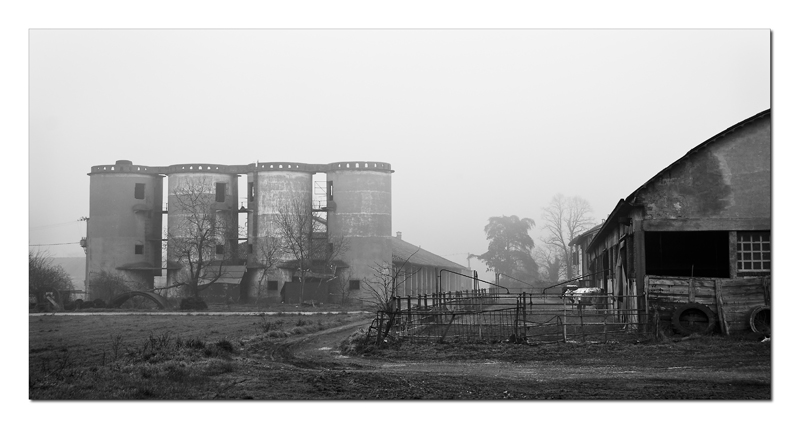 Una mattinata nella pianura cremonese