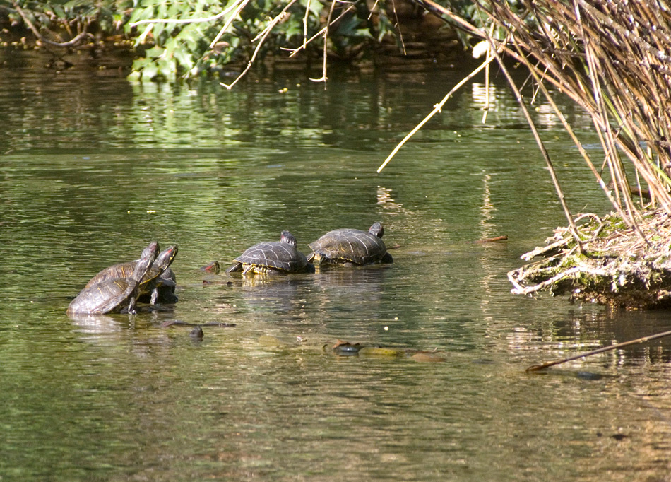 Scaldiamoci ai primi raggi di sole