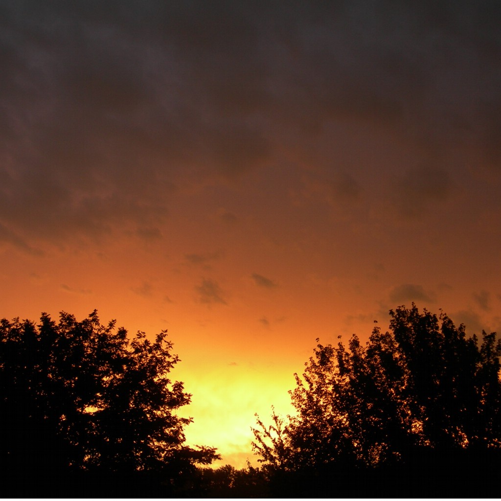 sunset dalla mia cuccia