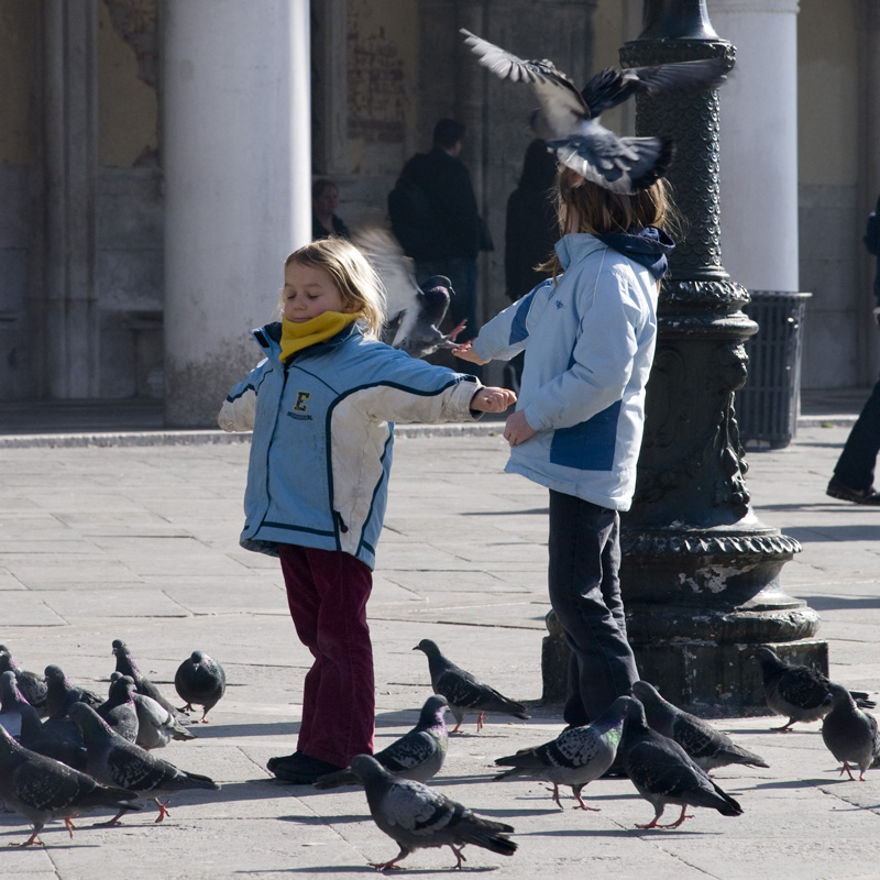 Bambine e piccioni