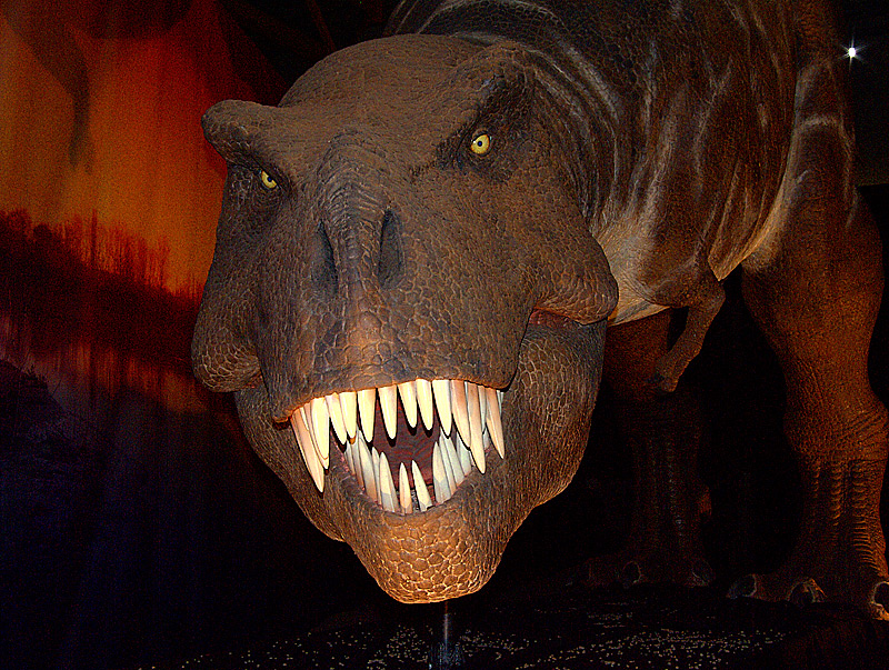 Si vede che ho cambiato dentifricio?