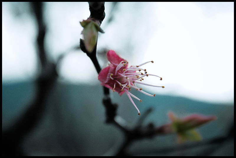 ... piccoli profumi.