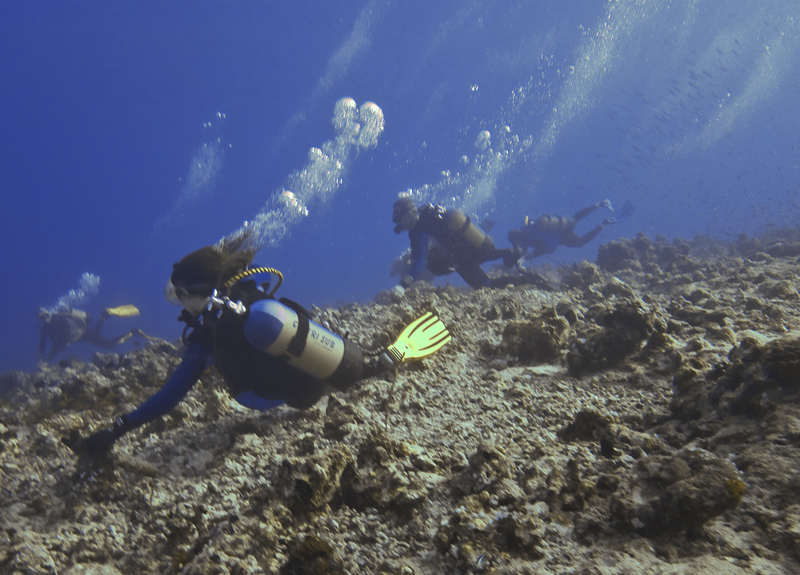 maldive - a bandiera