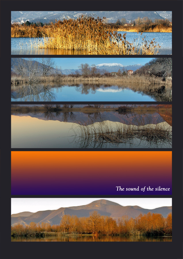 The sound of the silence