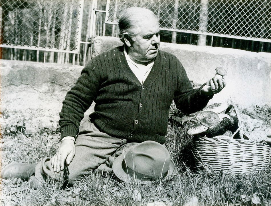 POESIA e...UN PO' DI VANITA'