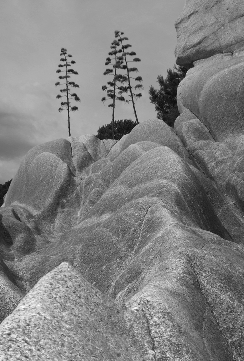 scripta ... manent ?