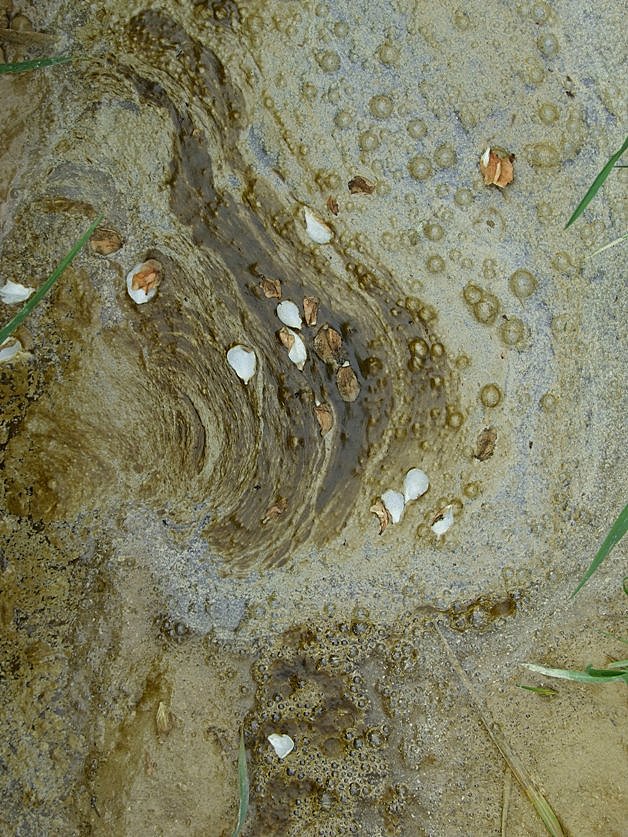 la schiuma del mondo