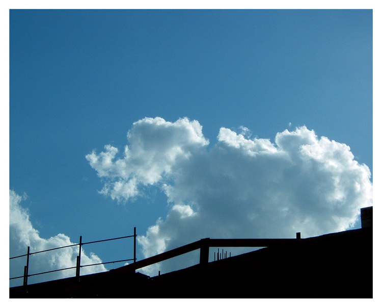 L'elefantino nel recinto