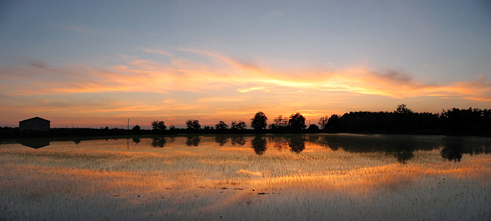 Onde di luce al tramonto