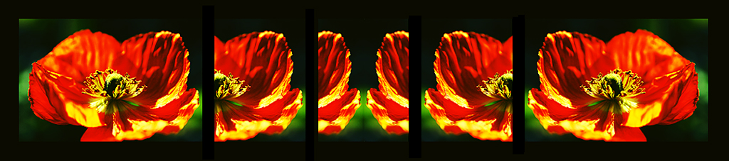 Scomposizione Composta