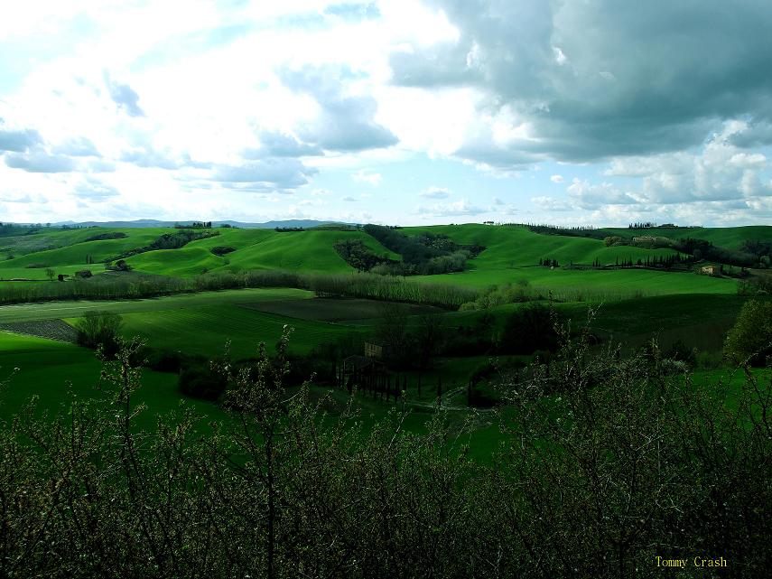 Colline senesi