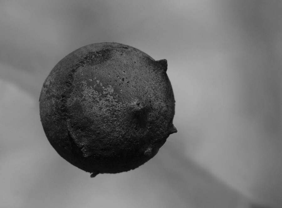 the dark side of the moon