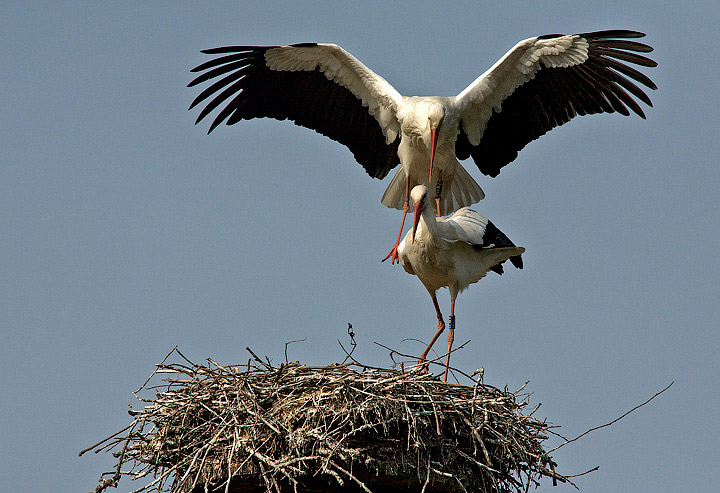 In alternativa alla macro