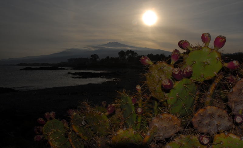 colori & ombre della mia terra