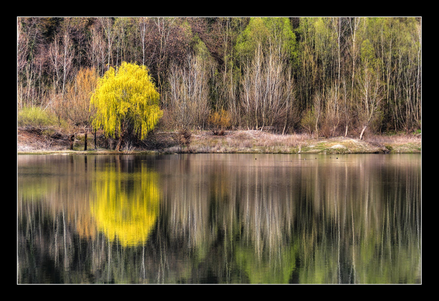 Riflessi primaverili...