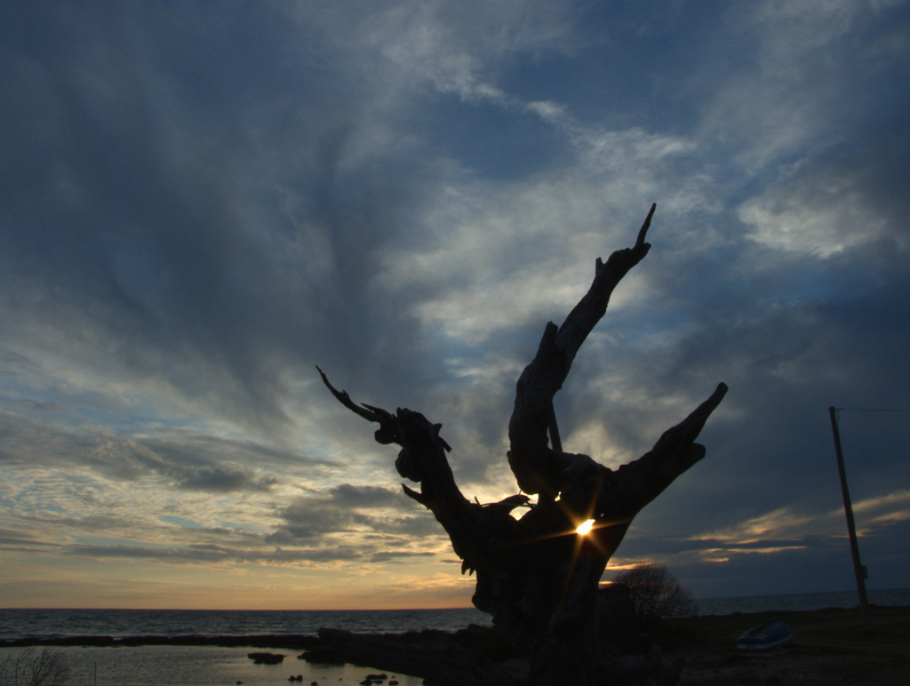 Pensieri al tramonto