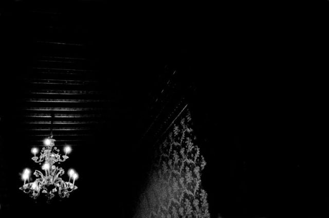 VENICE EXPERIENCE #1