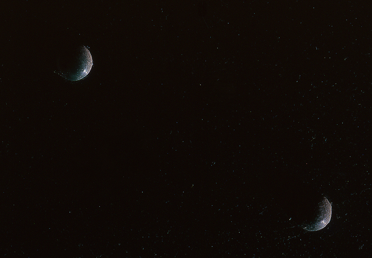 Riflessi n. 7 (come due lune)