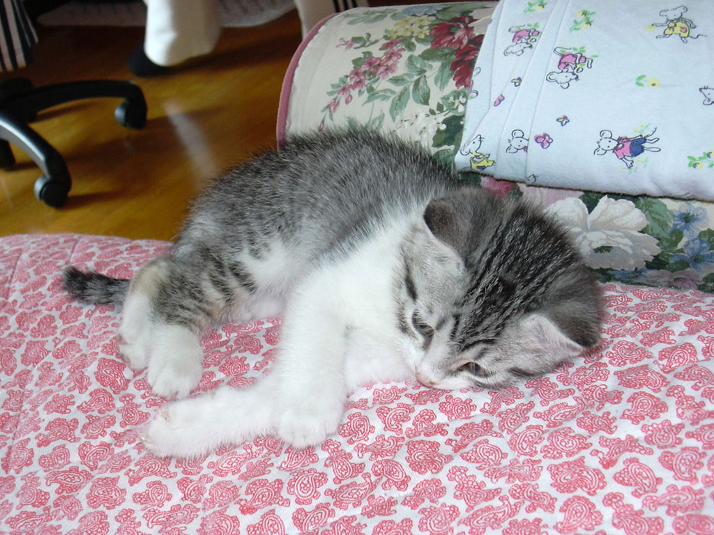 Ares