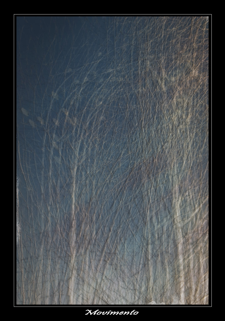 Movimento