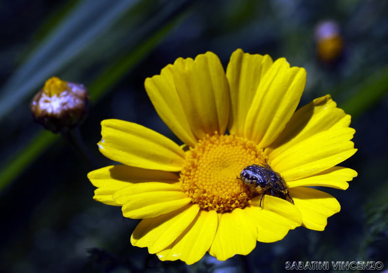 non disturbare...grazie!