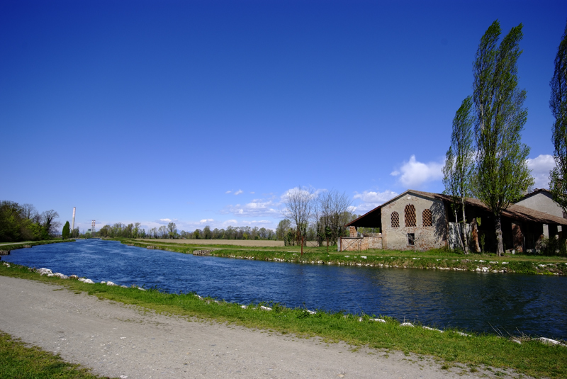 Scatto al volo nel Lodigiano