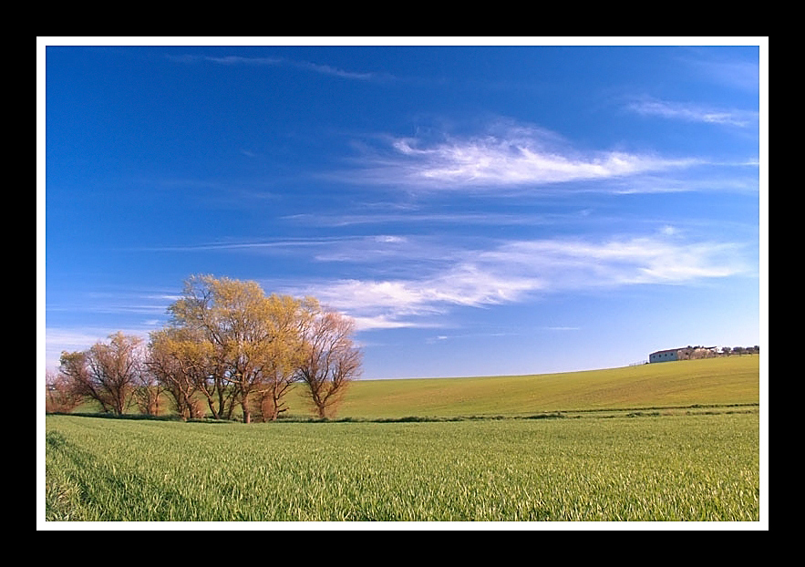 ...quadretto rurale...