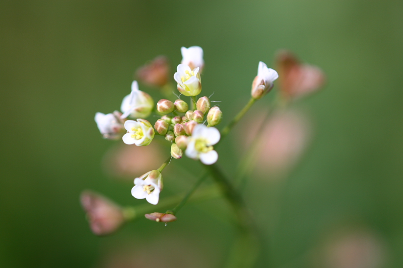 sfocature e astrattismi