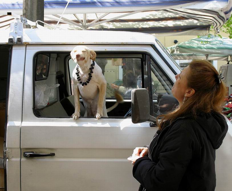 guida in stato di ebrezza...