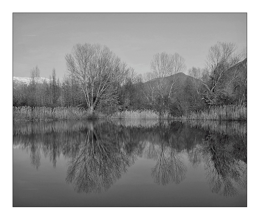 Riflessi monocromatici