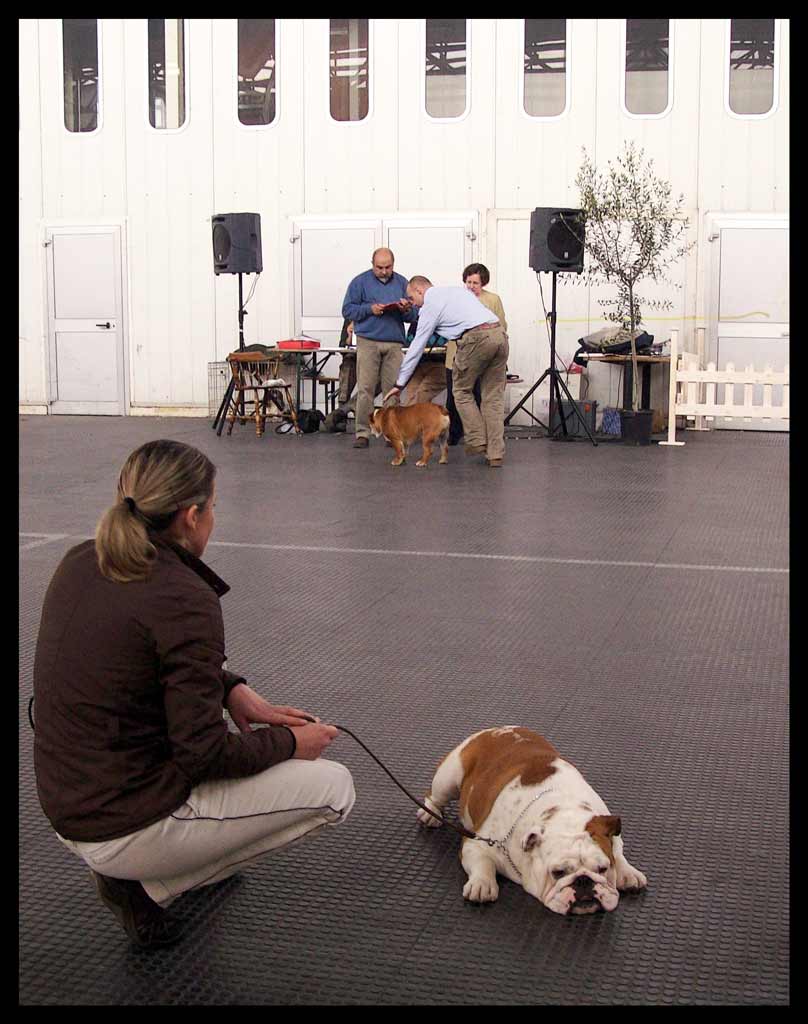 pi� in mostra di cos�...