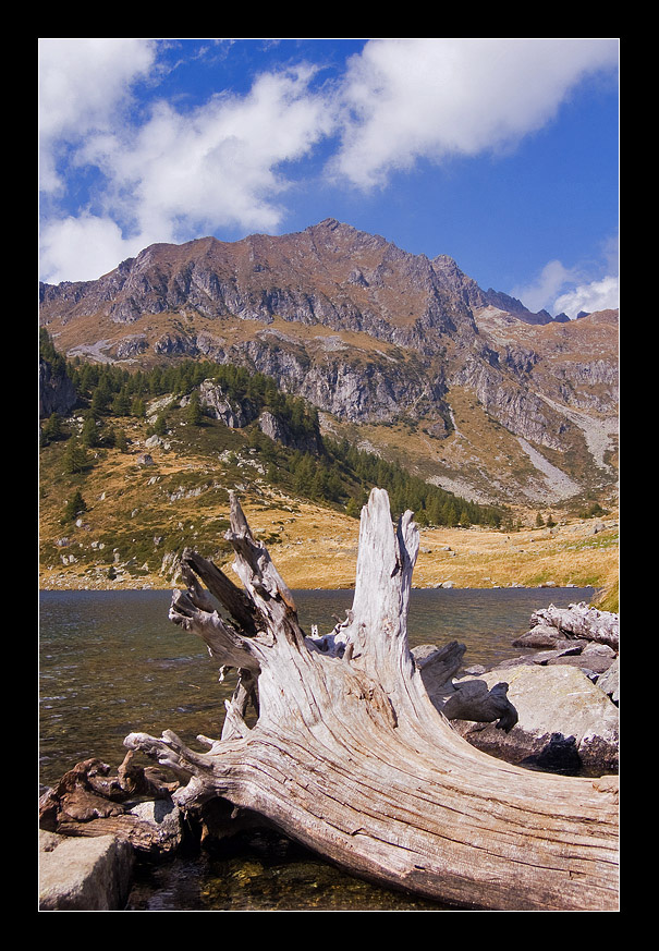 Guardando indietro....