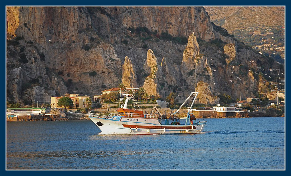 verso il porto, verso casa