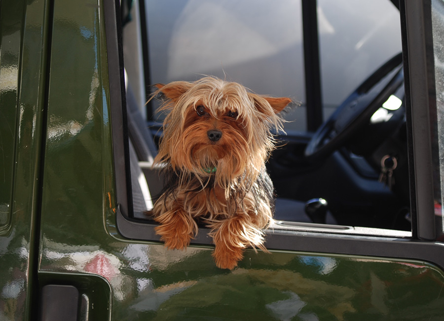 La patente � scaduta ? Non � possibile