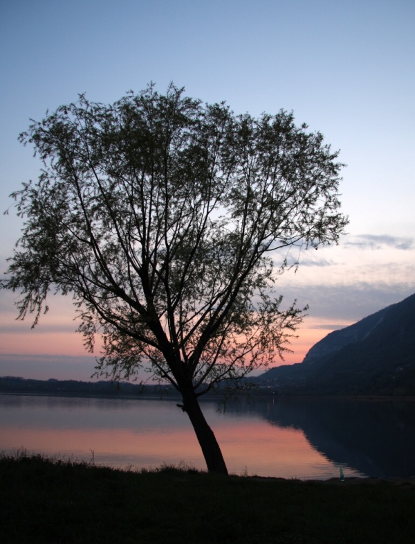 silhouette sul tramonto