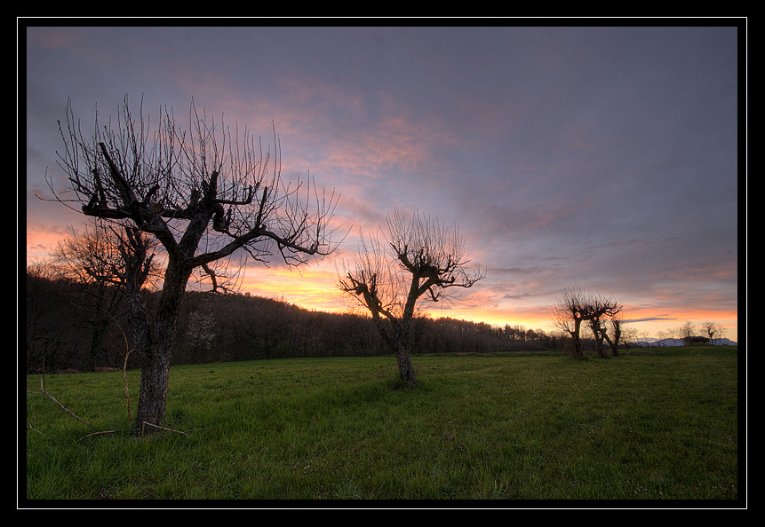 tramonto sulla radura