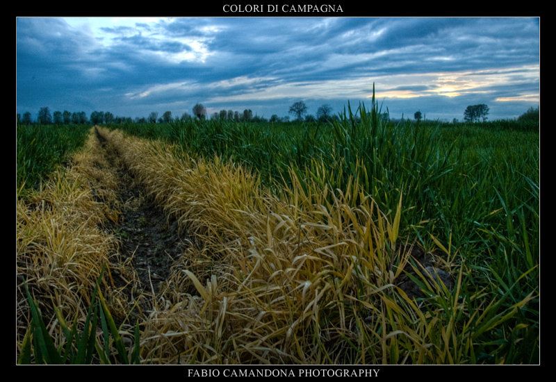 colori di campagna