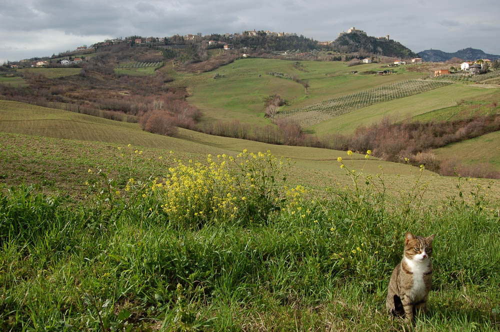 la regina della vallata