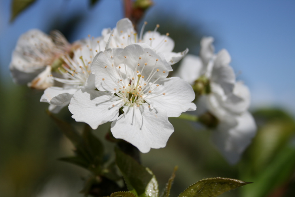 La bellezza della semplicit�