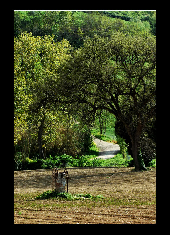 Quella stradina in salita