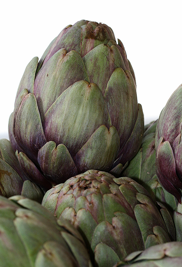 IL CARCIOFO NEL MAZZO