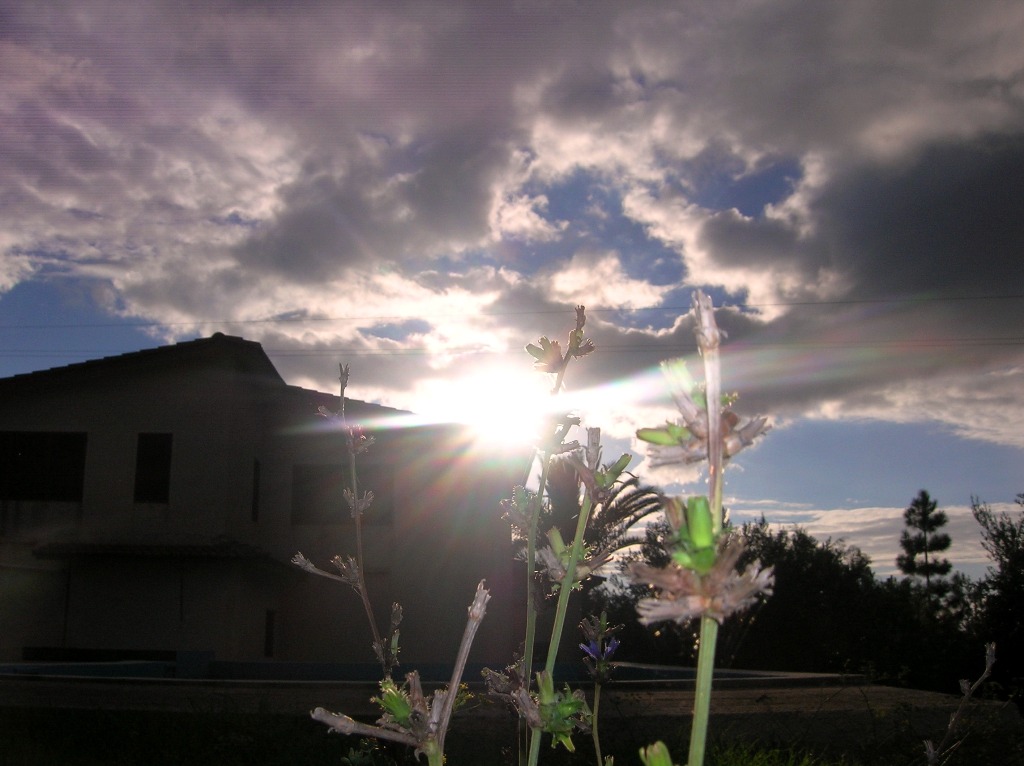 Impressioni di settembre.