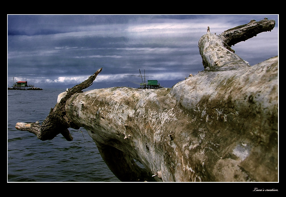 retoni a Marina di Pisa