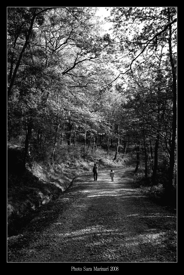 "...e andarono insieme incontro alla sera..."